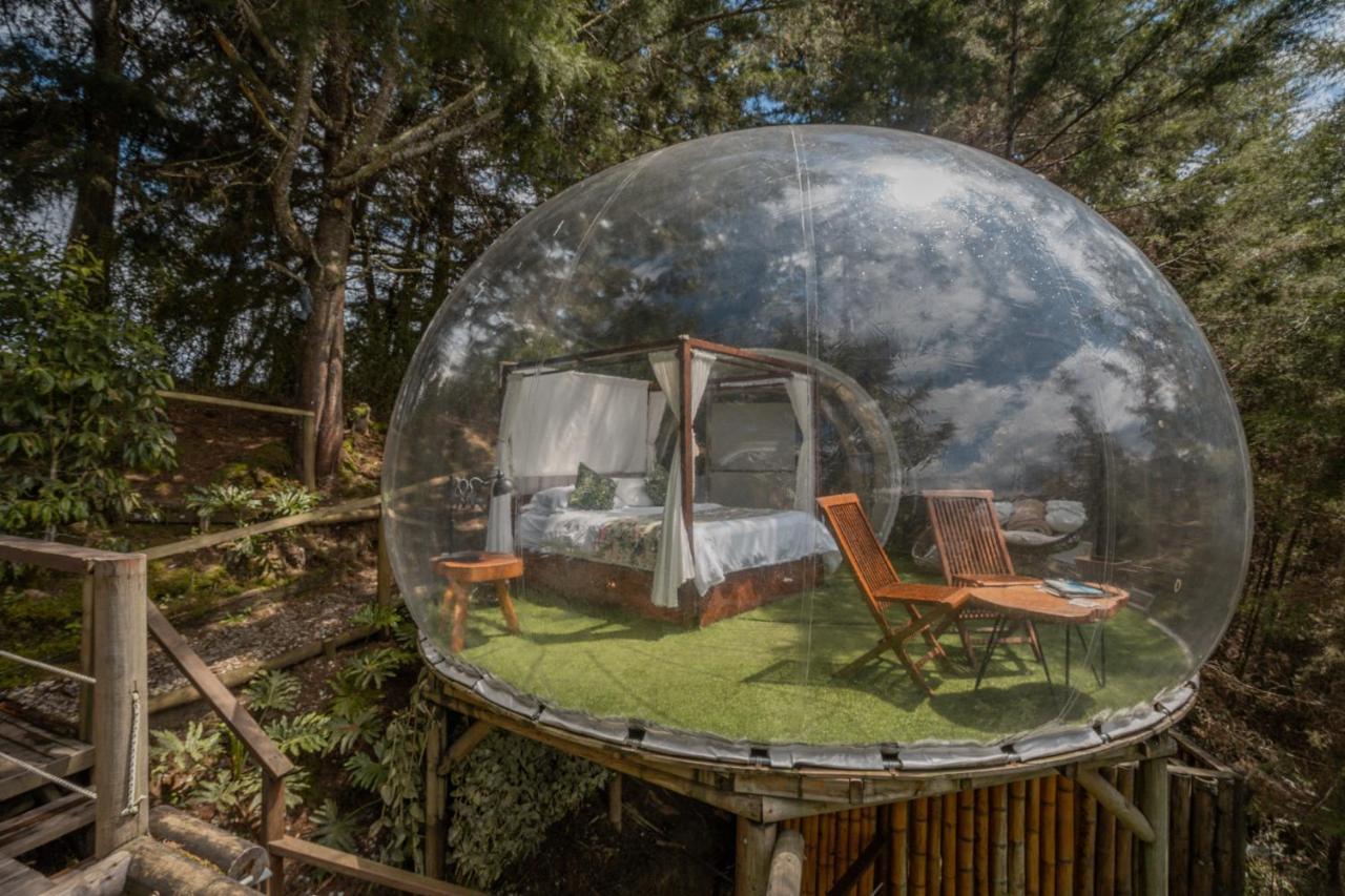 Bubblesky Glamping 40 Min From Medellin Hotel El Retiro  Buitenkant foto