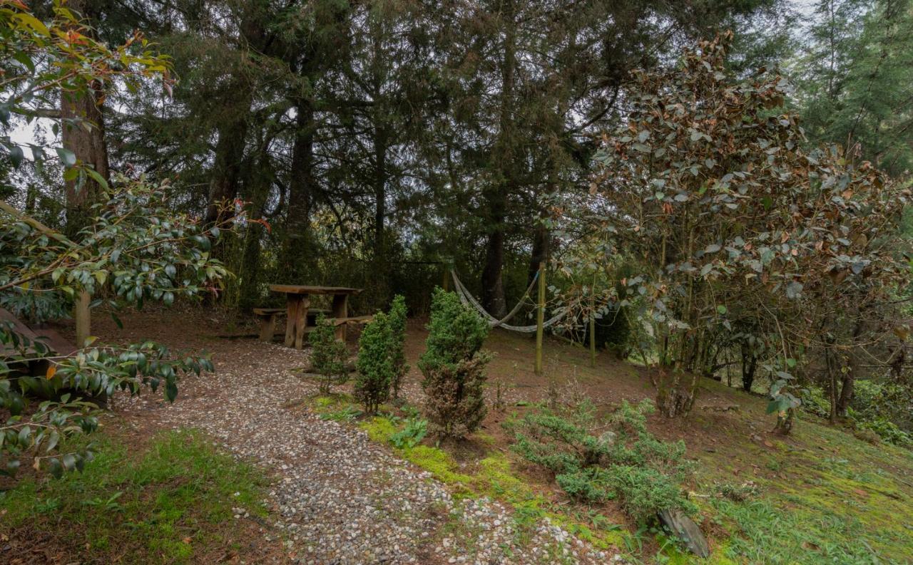 Bubblesky Glamping 40 Min From Medellin Hotel El Retiro  Buitenkant foto