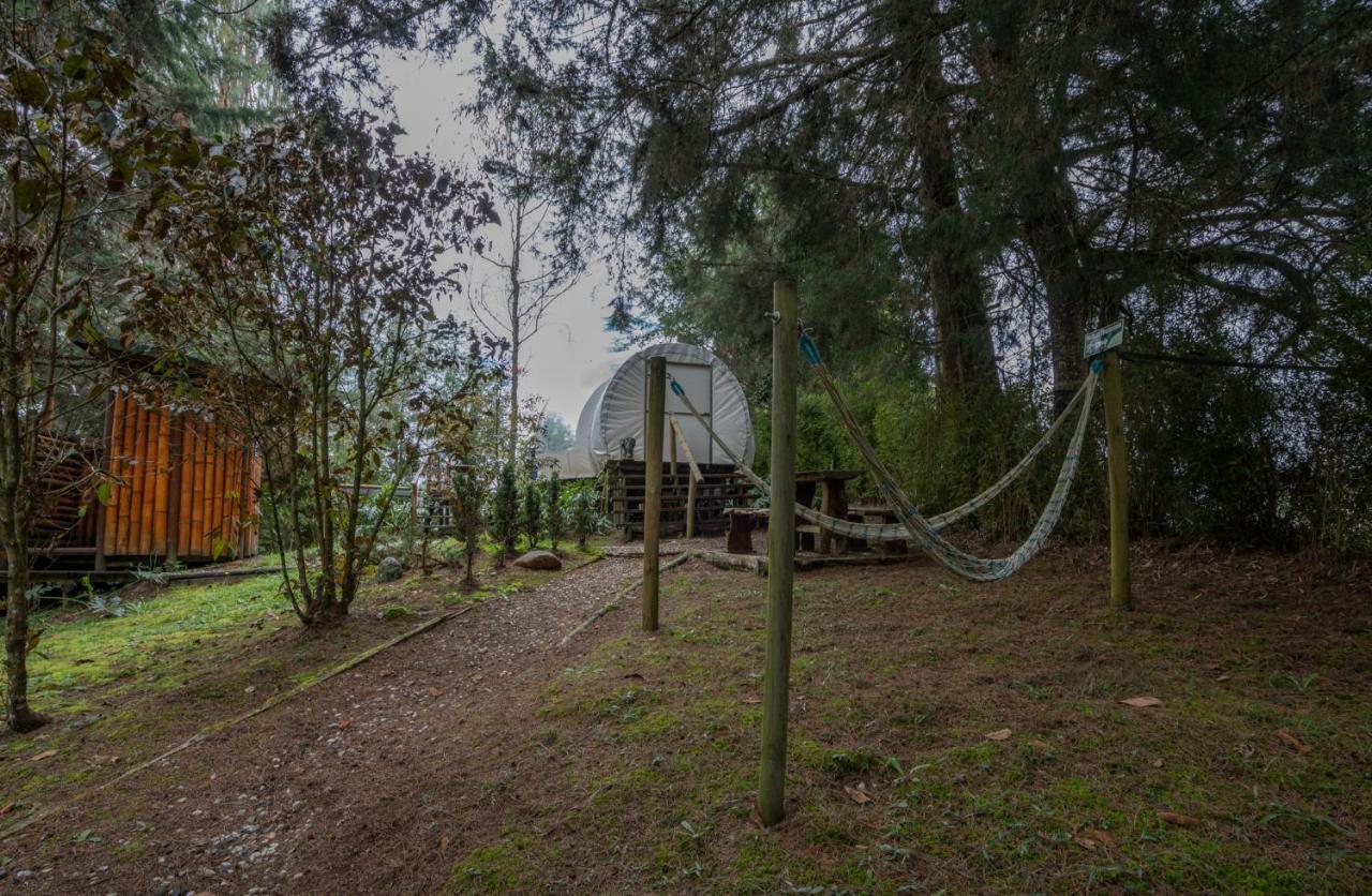 Bubblesky Glamping 40 Min From Medellin Hotel El Retiro  Buitenkant foto